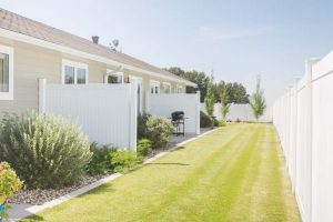 Tamarack phase 1 back yard